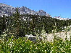 MineralKingLoop 185